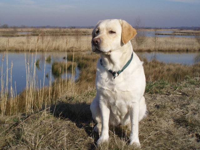 Bei den Ausschachtungen 04